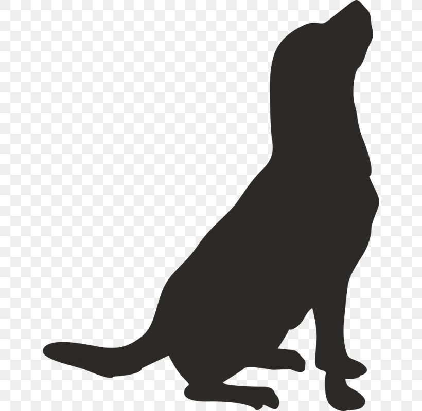 Whiskers American Pit Bull Terrier Drawing Clip Art, PNG, 800x800px, Whiskers, American Pit Bull Terrier, Black, Black And White, Black Cat Download Free