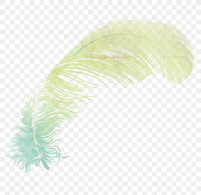 Feather Wing Illustration, PNG, 2236x2168px, Feather, Bird, Butterfly, Cartoon, Copyright Download Free