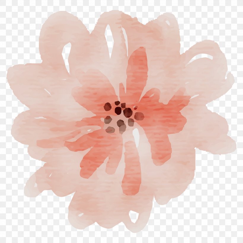 Pink Flower Cartoon, PNG, 3000x3000px, Watercolor, Blossom, Drawing, Flower, Gerbera Download Free