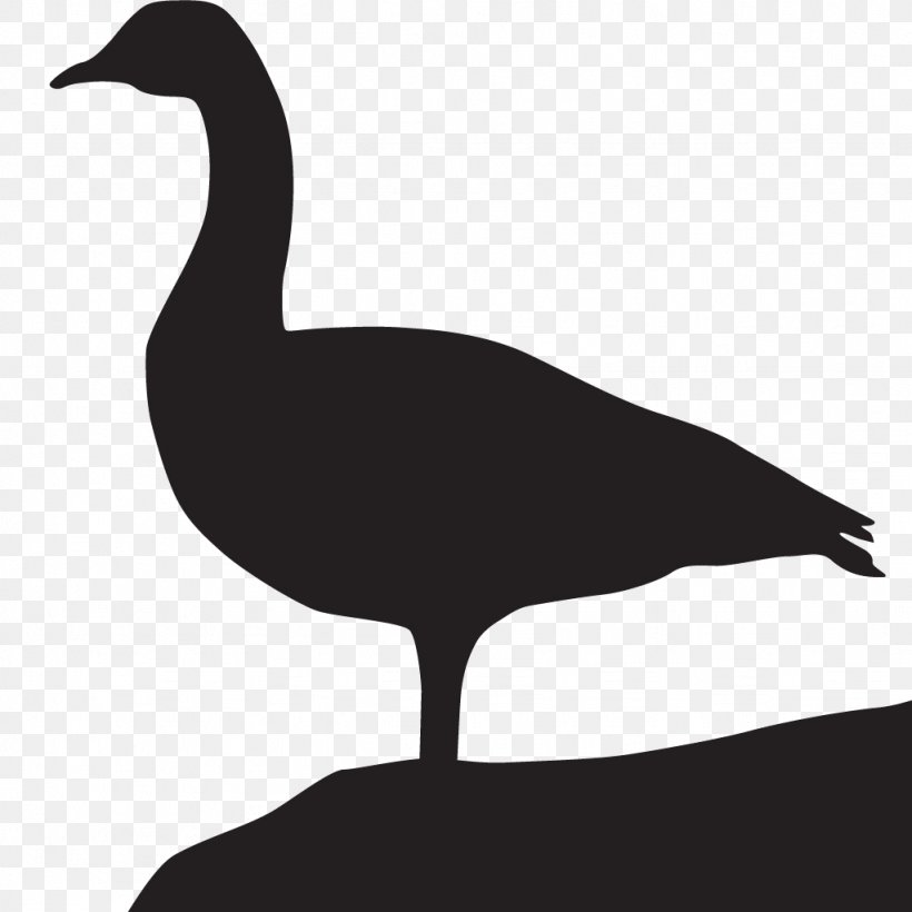 Goose All About Birds Duck Cornell Lab Of Ornithology, PNG, 1024x1024px, Goose, All About Birds, Anatidae, Beak, Bird Download Free