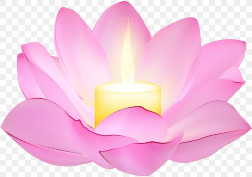 Lotus, PNG, 841x591px, Watercolor, Aquatic Plant, Candle, Flower, Lighting Download Free