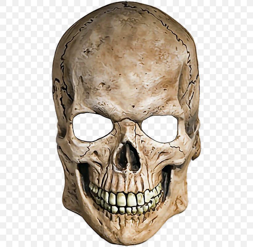 Skull Human Skeleton, PNG, 490x800px, Skull, Apple Color Emoji, Bone, Head, Human Anatomy Download Free
