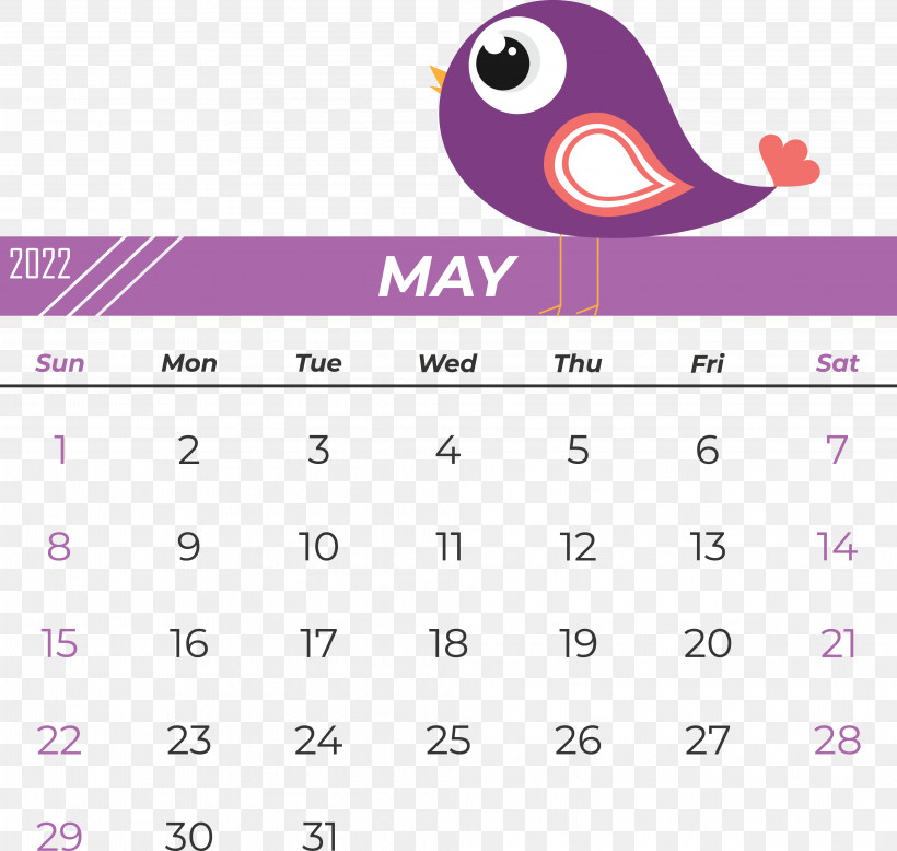 Birds Logo Font Beak Calendar, PNG, 4047x3844px, Birds, Beak, Biology, Calendar, Logo Download Free