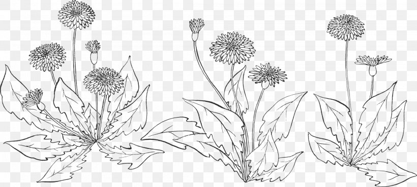 Floral Design Cut Flowers Plant Stem, PNG, 2220x1000px, Floral Design, Artwork, Black And White, Branch, Centimeter Download Free