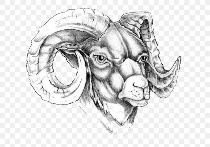 Goat Old School (tattoo) Aries Tattoo Ink, PNG, 671x573px, Goat, Aries, Arm, Art, Black And White Download Free