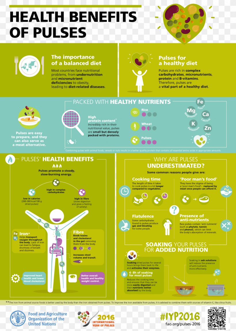 International Year Of Pulses Health Infographic Nutrition Food, PNG, 1020x1427px, International Year Of Pulses, Advertising, Area, Brand, Diet Download Free