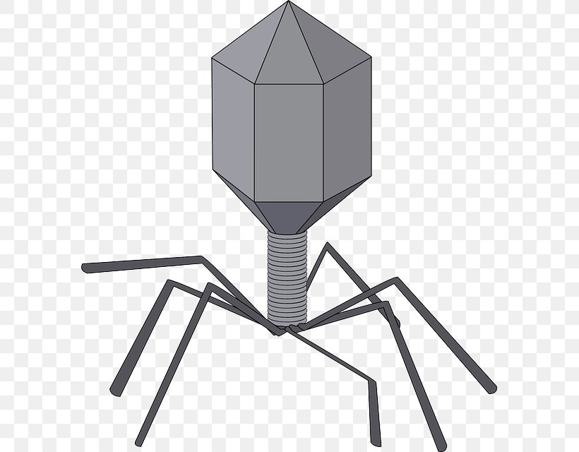 Viral Vector Virus Bacteriophage Clip Art, PNG, 589x640px, Viral Vector, Bacteria, Bacteriophage, Furniture, Microorganism Download Free