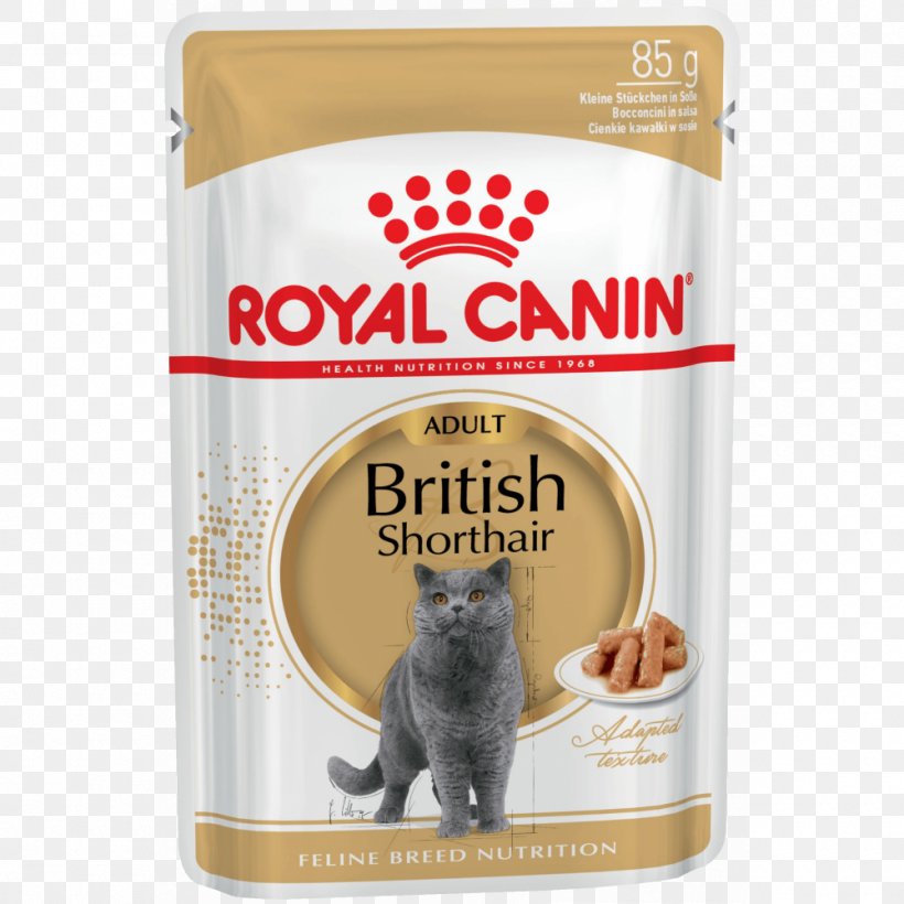 British Shorthair Persian Cat Cat Food Dog Maine Coon, PNG, 1000x1000px, British Shorthair, Bengal Cat, Breed, Cat, Cat Food Download Free