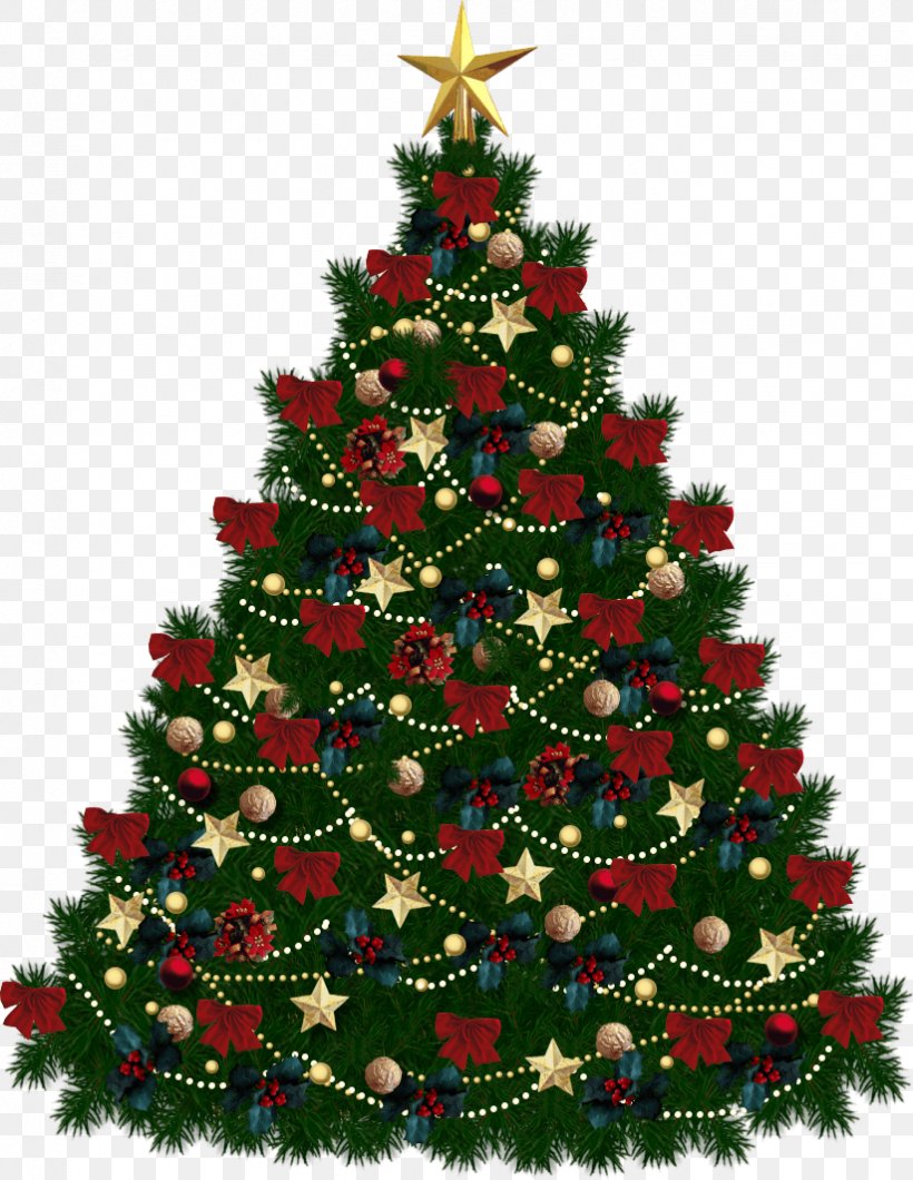 Christmas Tree Fir Clip Art, PNG, 823x1064px, Christmas Tree, Christmas, Christmas Decoration, Christmas Ornament, Conifer Download Free