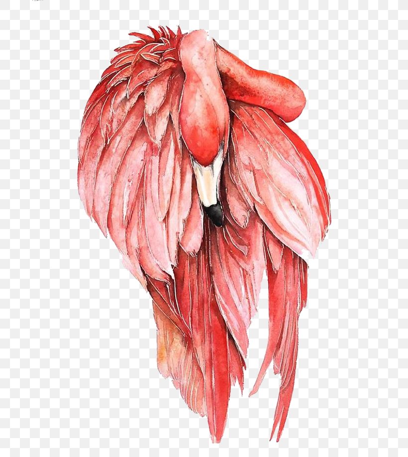 Flamingo Bird Watercolor Painting Drawing, PNG, 690x918px, Watercolor, Cartoon, Flower, Frame, Heart Download Free