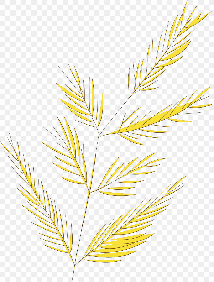 Twig Plant Stem Leaf Line Art Grasses, PNG, 1892x2489px, Simple Leaf, Biology, Commodity, Grasses, Leaf Download Free