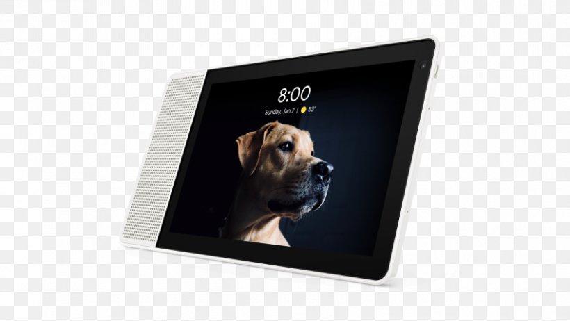 Amazon Echo Show Smart Display Google Assistant Display Device Smart Speaker, PNG, 850x479px, Amazon Echo Show, Amazon Echo, Display Device, Dog, Dog Like Mammal Download Free