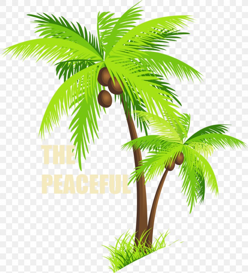 Coconut Leaf Drawing, PNG, 927x1024px, Palm Trees, Arecales, Cartoon, Coconut, Desert Palm Download Free