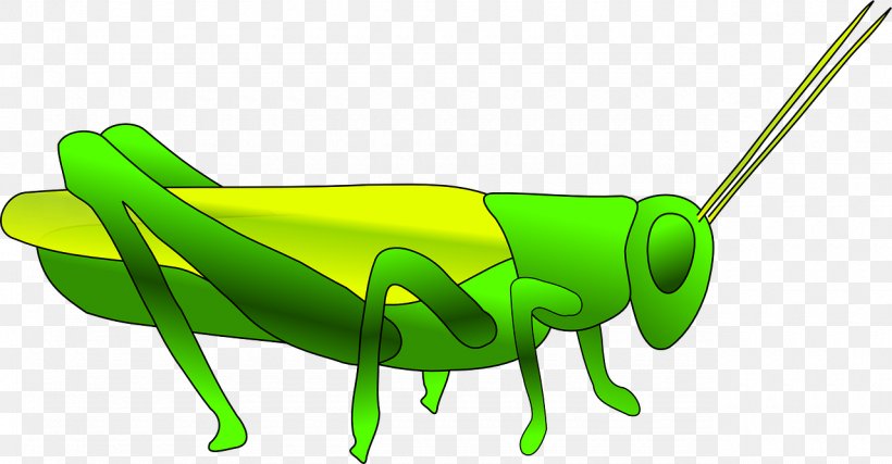 Grasshopper Locust Clip Art, PNG, 1280x668px, Grasshopper, Drawing, Fauna, Free Content, Grass Download Free