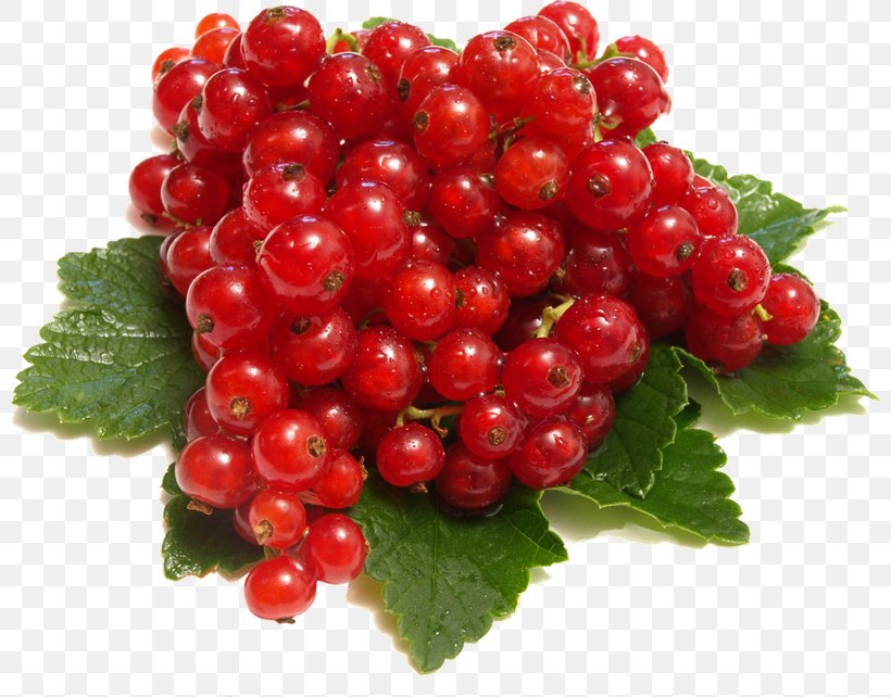 Redcurrant Blackcurrant Berries Fruit, PNG, 800x642px, Redcurrant, Berries, Berry, Bilberry, Blackberry Download Free