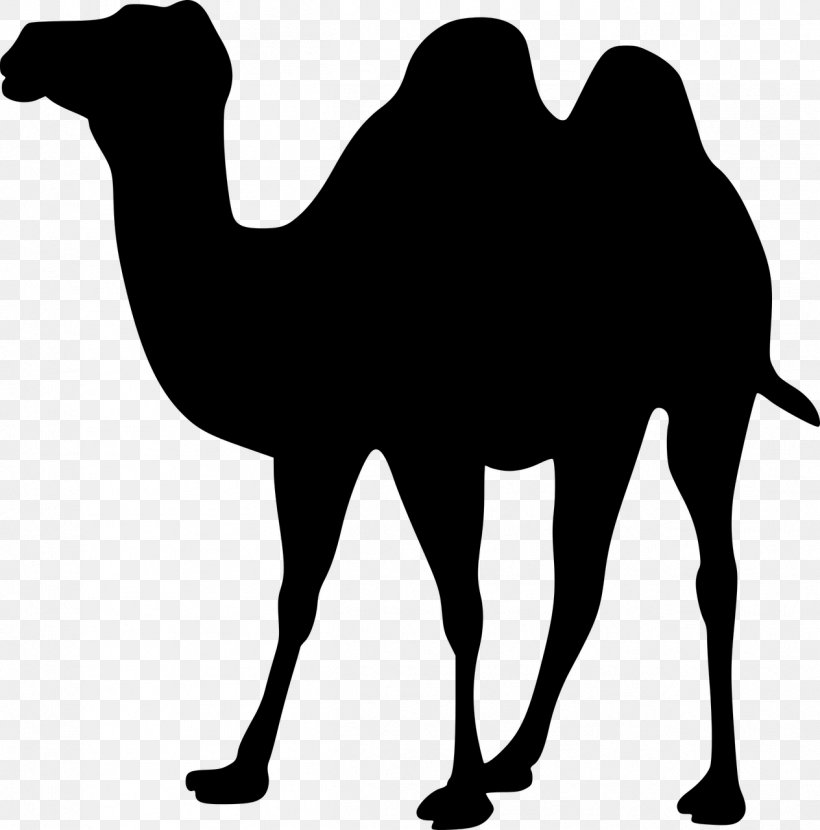Dromedary Bactrian Camel Silhouette Clip Art, PNG, 1264x1280px, Dromedary, Arabian Camel, Autocad Dxf, Bactrian Camel, Black And White Download Free