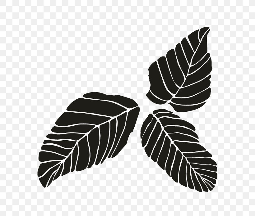 Leaf White, PNG, 696x696px, Leaf, Black And White, Monochrome, Monochrome Photography, Plant Download Free