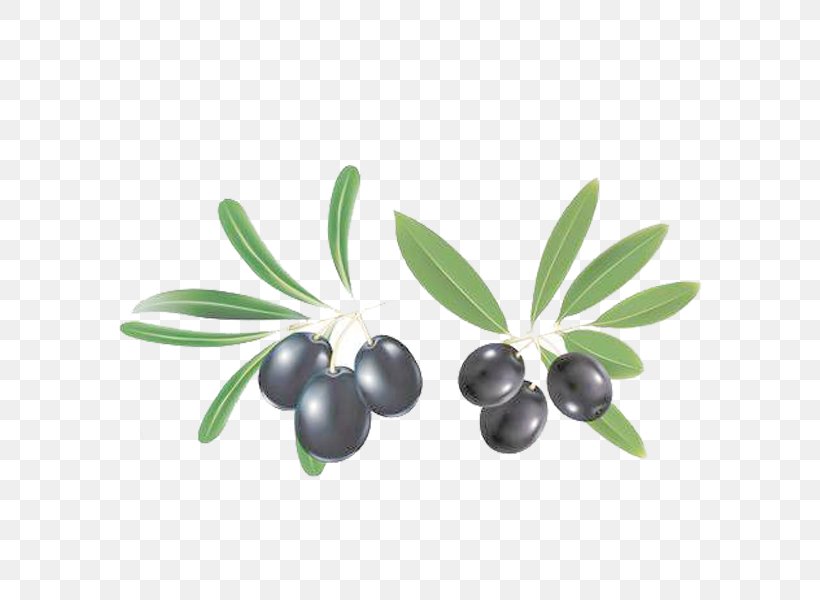 Mediterranean Cuisine Olive Oil Clip Art, PNG, 600x600px, Mediterranean Cuisine, Berry, Branch, Food, Fruit Download Free