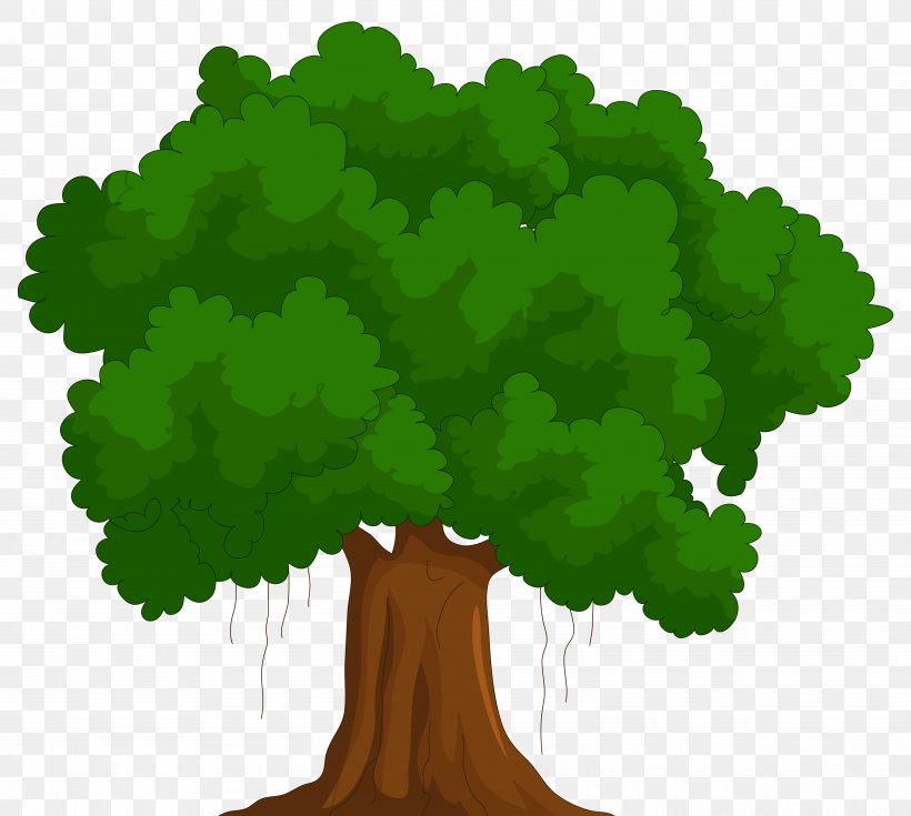 Oak Tree Leaf, PNG, 4992x4478px, Cartoon, Animation, Arbor Day, Grass, Green Download Free