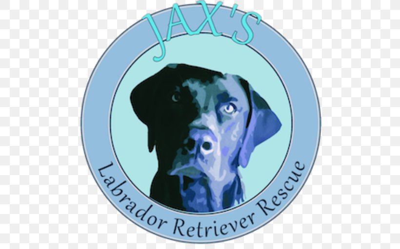 Jax's Labrador Retriever Rescue Dog Breed Puppy, PNG, 512x512px, Labrador Retriever, Animal Rescue Group, Breed, Carnivoran, Crossbreed Download Free