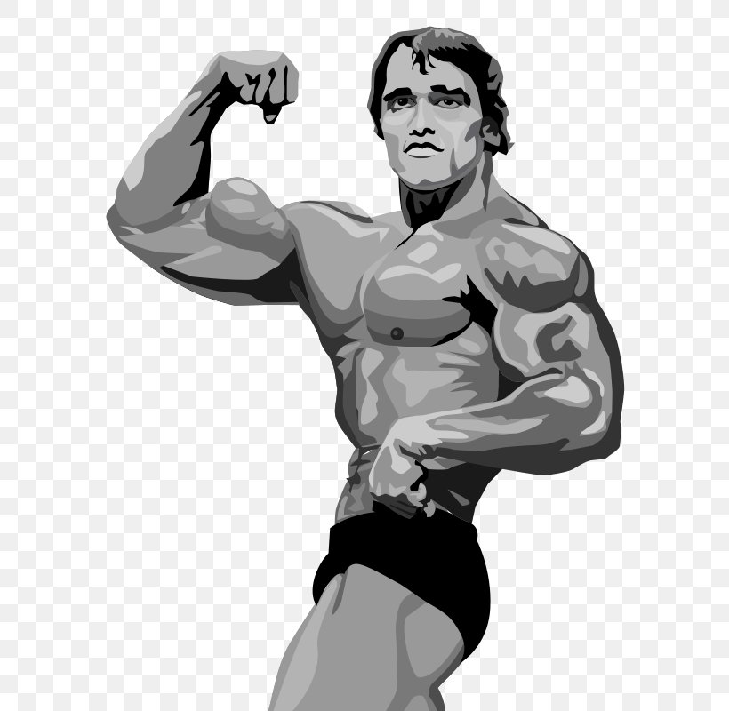 Arnold Schwarzenegger Terminator 2: Judgment Day Bodybuilding, PNG, 622x800px, Watercolor, Cartoon, Flower, Frame, Heart Download Free