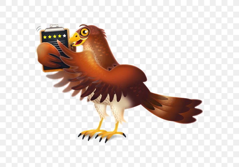 Eagle Hawk IPhone Service Company, PNG, 574x574px, Eagle, Accipitriformes, Animal, Beak, Bird Download Free