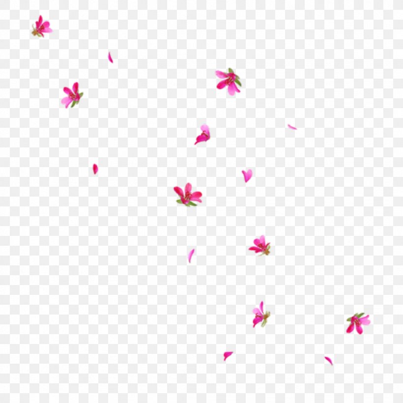 Flower Petal Blossom Clip Art, PNG, 1024x1024px, Flower, Blossom, Cherry Blossom, Drawing, Editing Download Free