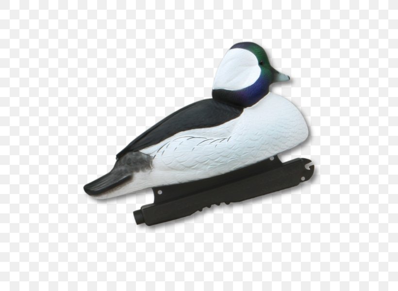 Mallard Duck Waterfowl Hunting Decoy, PNG, 600x600px, Mallard, Anseriformes, Beak, Bird, Bufflehead Download Free