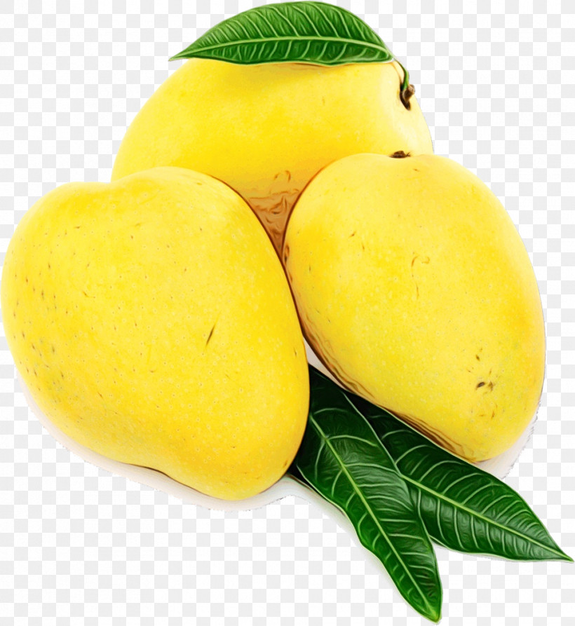 Mango, PNG, 965x1051px, Watercolor, Anaya Overseas, Citron, Fruit, Lemon Download Free