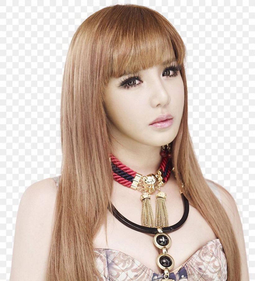 Park Bom South Korea 2NE1 YG Entertainment K-pop, PNG, 850x939px, Watercolor, Cartoon, Flower, Frame, Heart Download Free