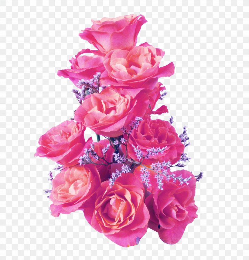 Rose Quotation, PNG, 3940x4101px, Rose, Animation, Artificial Flower, Birthday, Cut Flowers Download Free