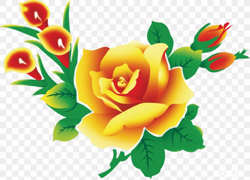 Vector Graphics Desktop Wallpaper Clip Art Flower Image, PNG, 832x600px, Flower, Beach Rose, Cut Flowers, Floral Design, Floristry Download Free