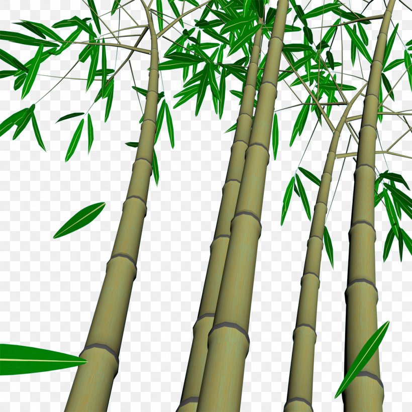 Bamboo Wall Wallpaper, PNG, 1417x1417px, Bamboo, Grass, Grass Family, House Painter And Decorator, Information Download Free