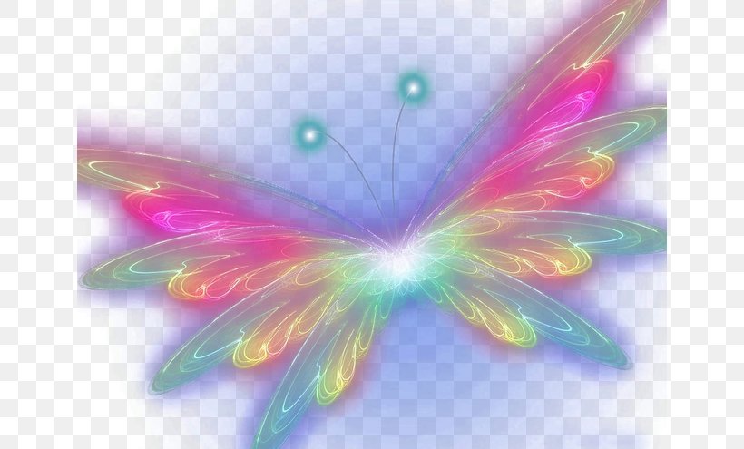 Butterfly Computer Wallpaper, PNG, 650x495px, Butterfly, Computer, Insect, Invertebrate, Moths And Butterflies Download Free