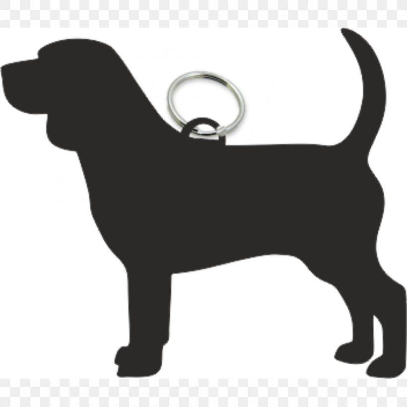 Dog Breed Puppy Leash Snout, PNG, 1000x1000px, Dog Breed, Black, Black M, Breed, Carnivoran Download Free