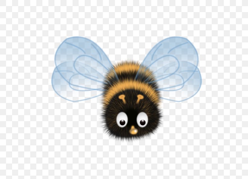 Honey Bee Clip Art, PNG, 591x591px, Bee, Adventures Of Hutch The Honeybee, Apis Florea, Arthropod, Drawing Download Free