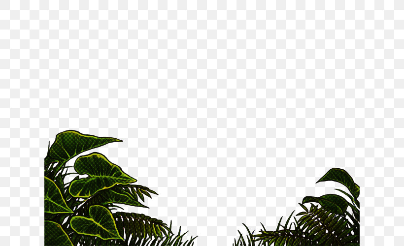 Palm Tree, PNG, 640x500px, Vegetation, Arecales, Attalea Speciosa, Elaeis, Flower Download Free