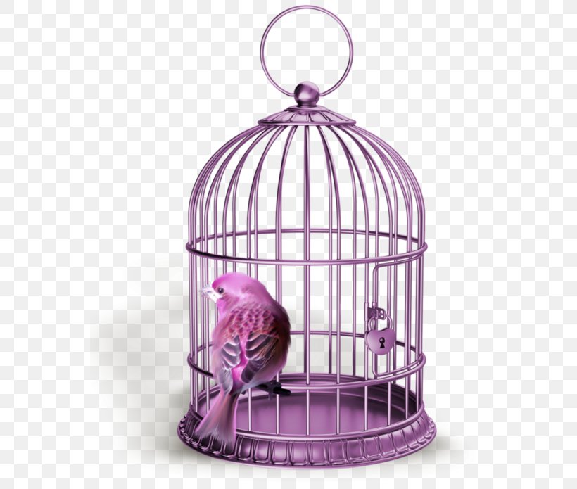 Birdcage Stock Photography Gold, PNG, 564x695px, Bird, Birdcage, Cage, Depositphotos, Gold Download Free