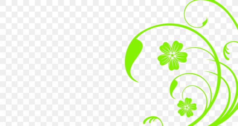 Green Fundal White, PNG, 1024x542px, Green, Area, Color, Flora, Flower Download Free