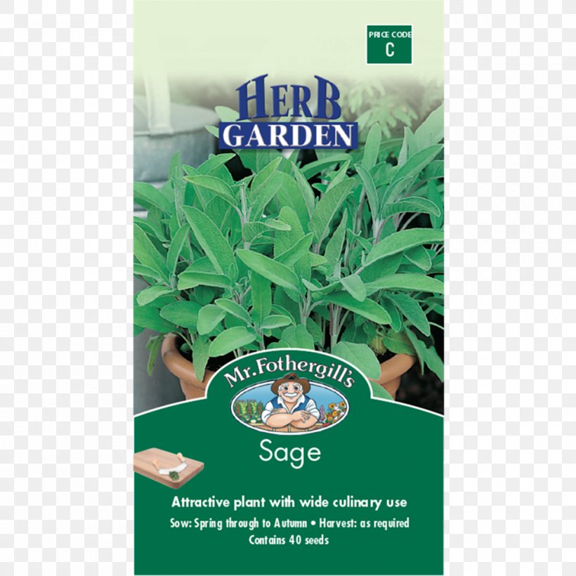 Herb Common Sage Clary Seed Dog Meat, PNG, 1000x1000px, Herb, Bunnings Warehouse, Chicken, Clary, Common Sage Download Free