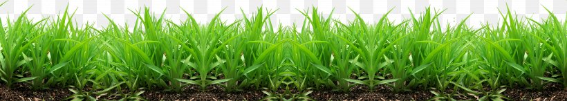 Lawn Industry Wallpaper, PNG, 3500x626px, Sticker, Cdr, Chart, Chrysopogon Zizanioides, Color Download Free