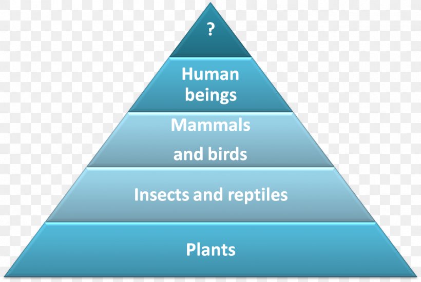Maslow's Hierarchy Of Needs Psychology Society, PNG, 1047x703px, Need, Abraham Maslow, Basic Needs, Blue, Brand Download Free