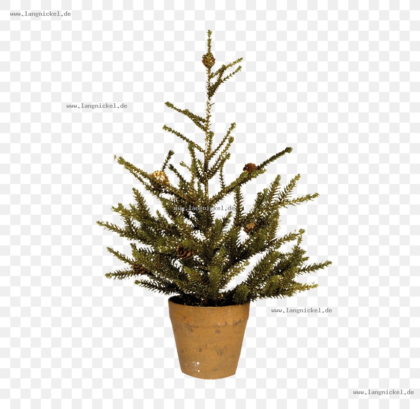 Spruce Christmas Tree Christmas Ornament Fir Pine, PNG, 800x800px, Spruce, Branch, Christmas Day, Christmas Decoration, Christmas Ornament Download Free