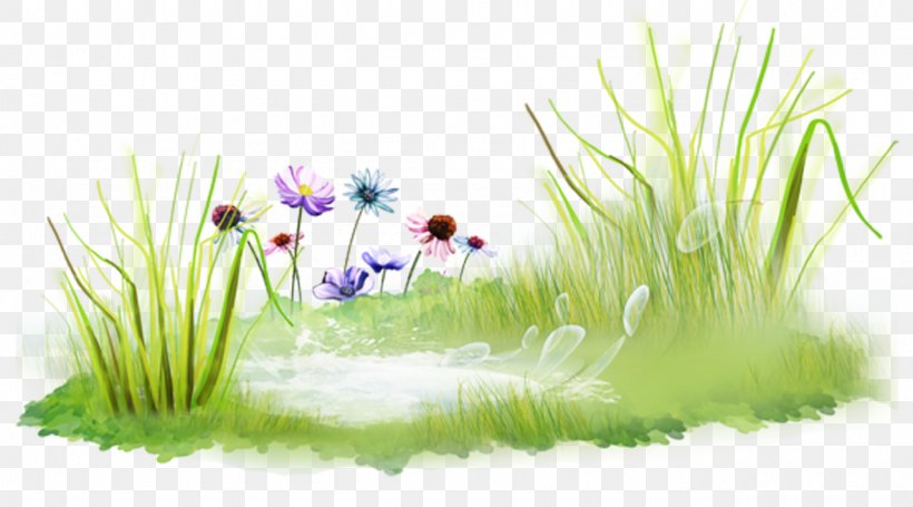 Clip Art, PNG, 1280x711px, Grass, Aquarium Decor, Aquatic Plant, Document File Format, Flora Download Free