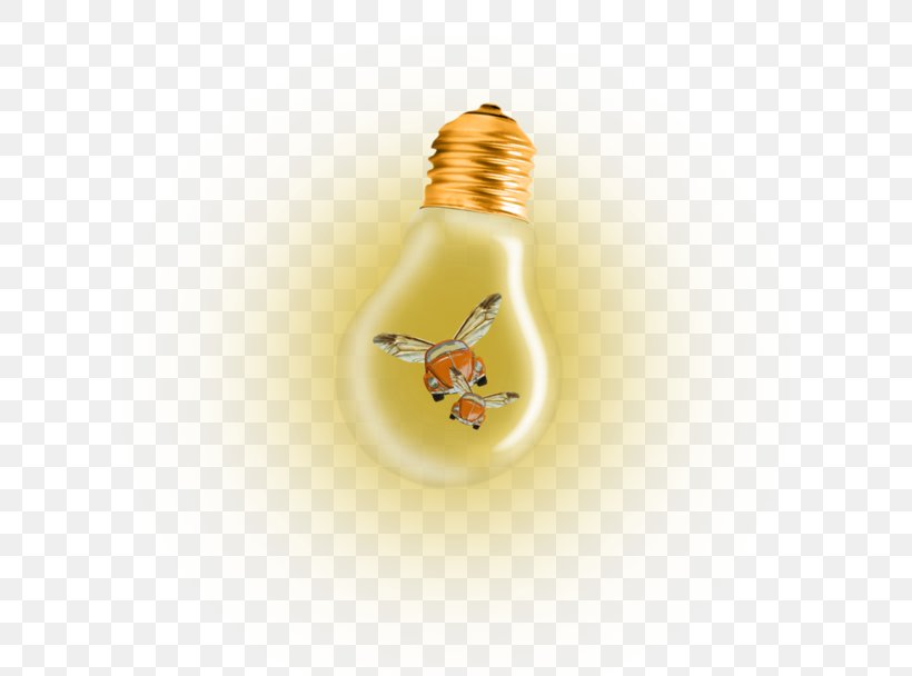 Incandescent Light Bulb Blog Fluorescent Lamp, PNG, 600x608px, Watercolor, Cartoon, Flower, Frame, Heart Download Free