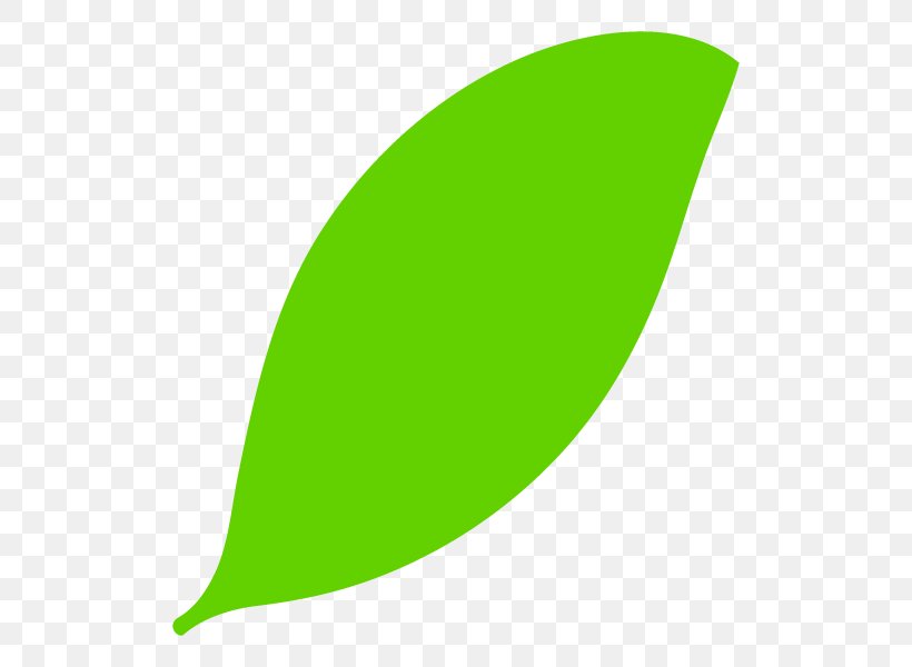 Leaf Graphics Product Design Line, PNG, 600x600px, Leaf, Grass, Green, Plant Download Free