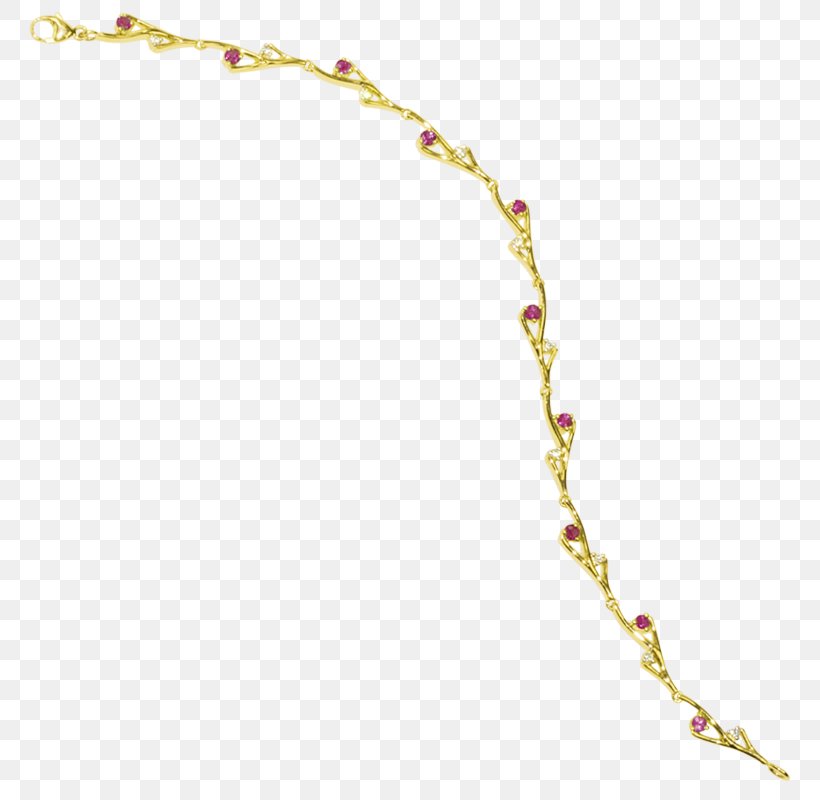 Body Jewellery Chain Necklace Jewelry Design, PNG, 800x800px, Jewellery, Body Jewellery, Body Jewelry, Branch, Chain Download Free