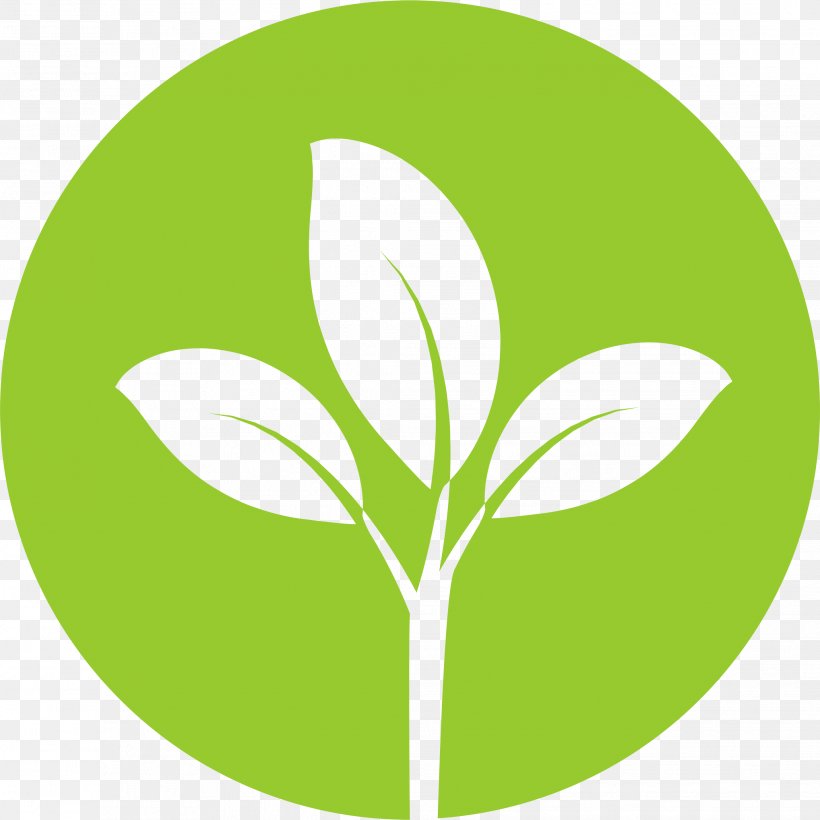 Brompton Heights, Assisted Living At Williamsville Avangrid Renewables LLC Iberdrola, PNG, 2063x2064px, Company, Botany, Green, Leaf, Logo Download Free