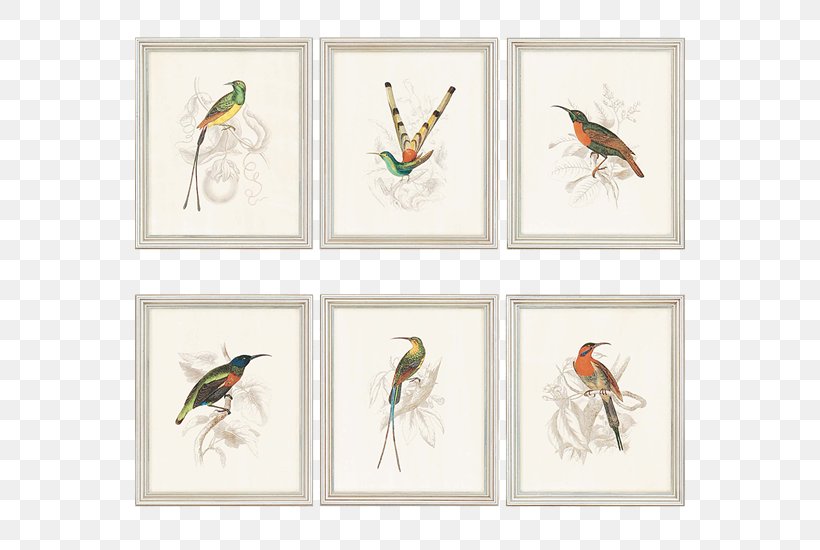 Decorative Arts Graphic Arts Graphics Picture Frames, PNG, 550x550px, Art, Beak, Bird, Decorative Arts, Fauna Download Free