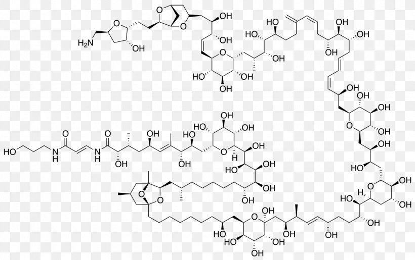 Palytoxin Maitotoxin Structure Chart Chemical Compound, PNG, 1280x805px, Palytoxin, Animal, Area, Black And White, Chemical Compound Download Free